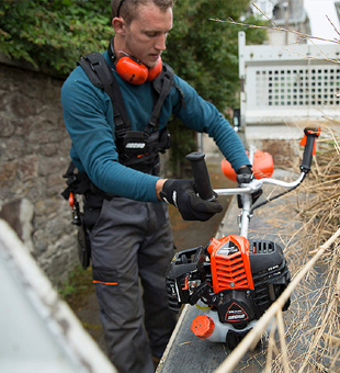 Marcas Representadas