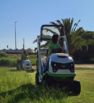 Marcas Representadas